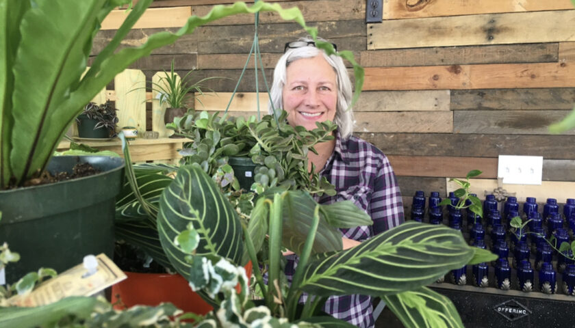 Support Local, Shop Local at Equinox Botanical Boutique